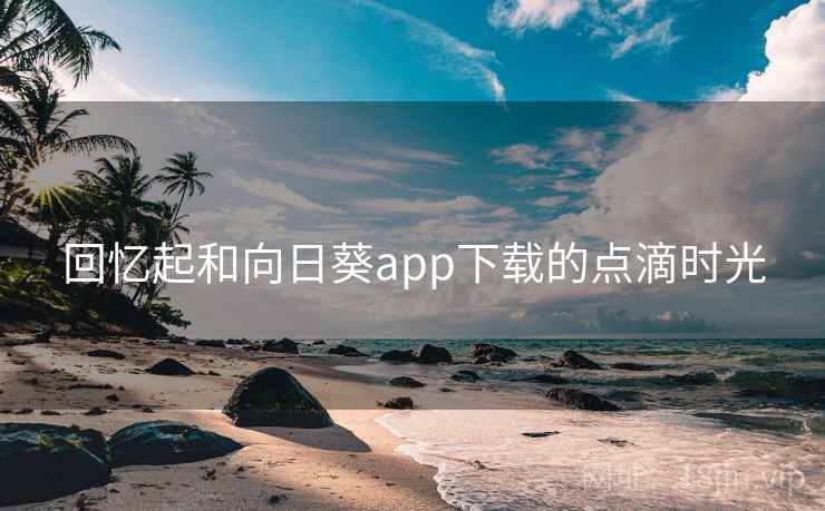 回忆起和向日葵app下载的点滴时光